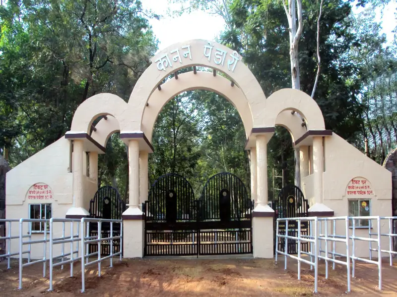 Ambagarh Chowki to Bilaspur Cab